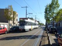 auf dem Sint-Bernardsesteenweg in Zwaantjes