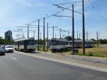 Zuid - links Linie 4 Richtung Stadtmitte, rechts Linie 8 in der Schleife