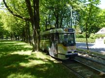 Allee auf der Avenue de Tervueren kurz vor Erreichen der H Madoux