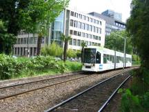 Palmen auf der Berliner Allee