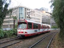 Palmen auf der Berliner Allee