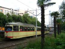 Palmen auf der Berliner Allee