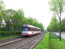 Auf'm Hennekamp zw Volksgarten und Redinghovenstr