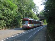 GT8S-Doppelzug auf der Ludenberger Str, im Hintergrund die Pfeifferbrücke