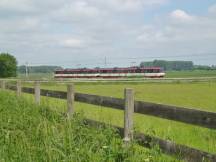 in Meerbusch zwischen Landsknecht und Forsthaus