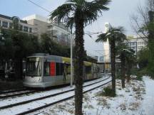 709 auf der Berliner Allee zw Martin Luther Pl und Steinstr, Fahrtrichtung Grafenberg