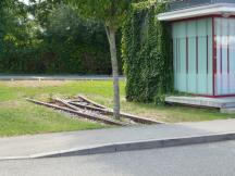 Vauban: in dieser Weiche mitten in der Busschleife (!) wächst ein Baum