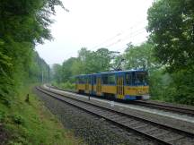 Parallel der Waldsaumbahn zwischen Reinhardsbrunn und Schnepfenthal