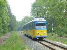 Parallel der Waldsaumbahn zwischen Reinhardsbrunn und Schnepfenthal