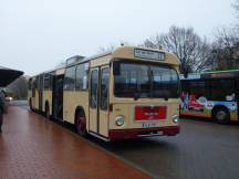 historischer Gelenkbus MAN SG 192 Nr. 596 (Bj 1980), aufgenommen in Stöcken