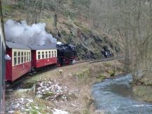 Fahrt entlang der Selke zwischen Alexisbad und Mägdesprung