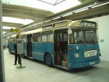 ältester Münchner Gelenkbus (Bj 1965)