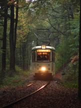 Tw 337, Bj 1957 der Hagener Straßenbahn auf der Strecke quer durch den Wald