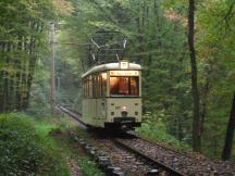 Tw 337, Bj 1957 der Hagener Straßenbahn auf der Strecke quer durch den Wald