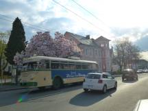 vor dem Bürgerhaus Ohligs, Fahrtrichtung Stadtmitte