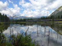 am Kicking Horse River bei Field, BC