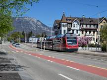 auf dem Mittelstreifen der Rötistr in Solothurn