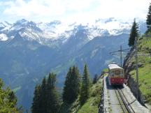 kurz vor der Bergstation Schynige Platte