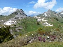 der Alpengarten gleich hinter der Bergstation Schynige Platte