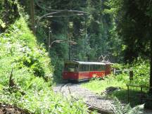 im Wald oberhalb von Rotenegg