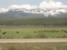 Ausblick auf die hohen Gipfel der Rocky Mountains zw Fraser und Granby