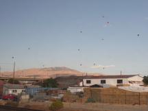 Heißluftballons über Reno, Nevada