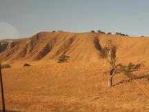 Landschaft zwischen San Luis Obispo und Salinas