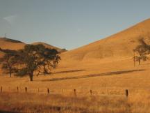 Landschaft zwischen San Luis Obispo und Salinas