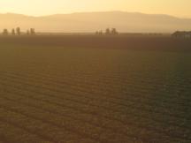 Farmlandschaft zwischen San Luis Obispo und Salinas