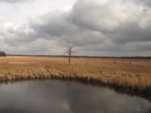 karge Landschaft in Wisconsin