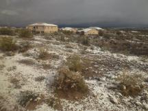 in der verschneiten Wüste bei Tucson, Arizona