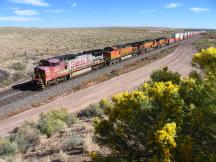 Güterzug geführt von Lok der eh. Atchison, Topeka & Santa Fe Railway (jetzt BNSF)