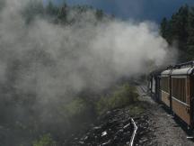 manchmal nebelt unsere Dampflok die Landschaft völlig ein