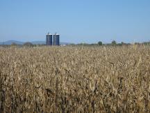 die Gegend um Walkersville & dem Monocacy Valley wird von Landwirtschaft geprägt